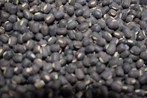 Whole Urad Dal