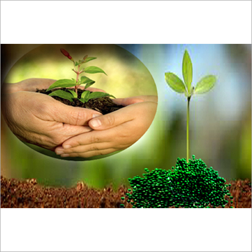 Greenhouse Consultancy Service