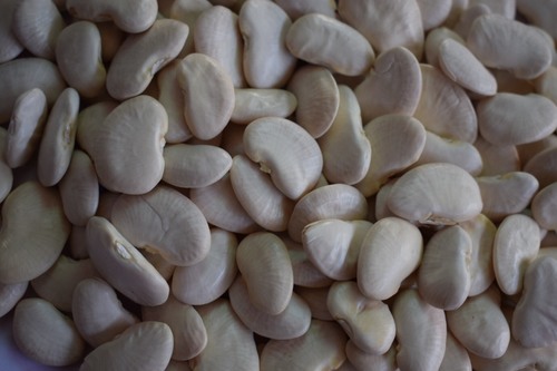 Organic Lima Beans Pulses