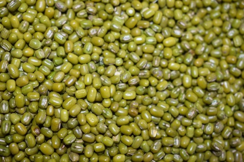 Organic Green Mung Bean