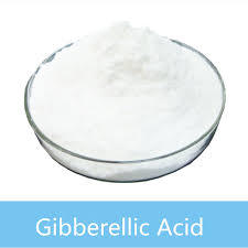 Gibberellic acid 98% Gibberellic acid 98%