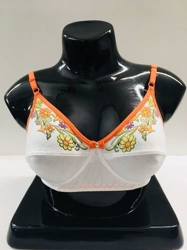 3 Ladies Bra