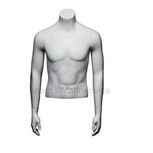 Male Torso Age Group: Adults