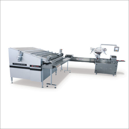 Biscuits Feeding and Packaging Machine