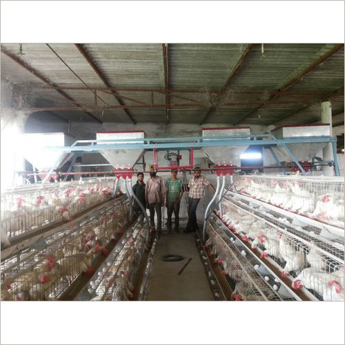 Automatic Feed Trolley