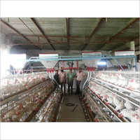 Automatic Feed Trolley