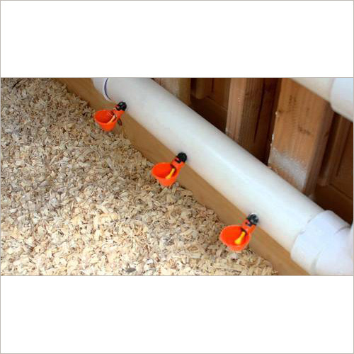 Poultry Drinking System