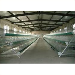 Chicken Cage
