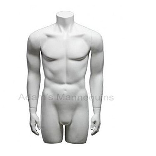 Male Torso Age Group: Adults