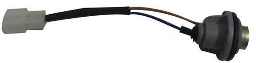 Head Lamp Assembly