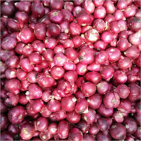 Organic Onions