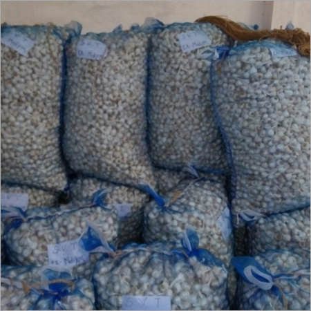 Fresh White Garlic