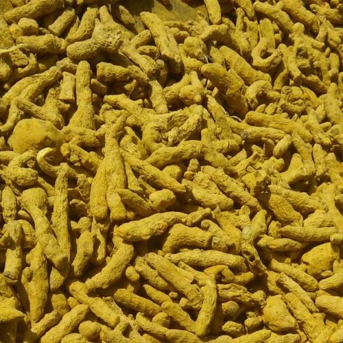 Organic Dry Turmeric Root