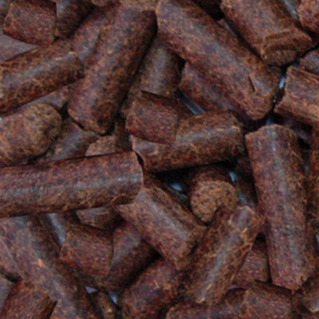 Rapeseed Meal