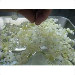 Jasmine Water