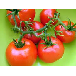 Tomato Seed Oil