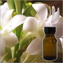 Tuberose Absolute