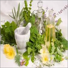 Basil oil