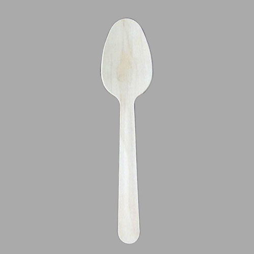 Disposable Plastic Spoon