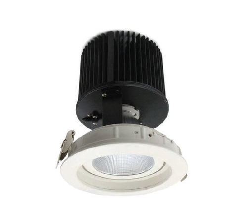 LED Down Light Adjustable