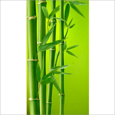 Eco-Friendly Paper Made Bamboo Tree