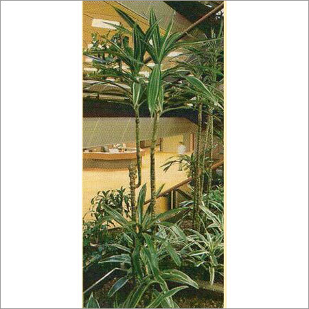 Eco-Friendly Paper Made Ornamental Plant