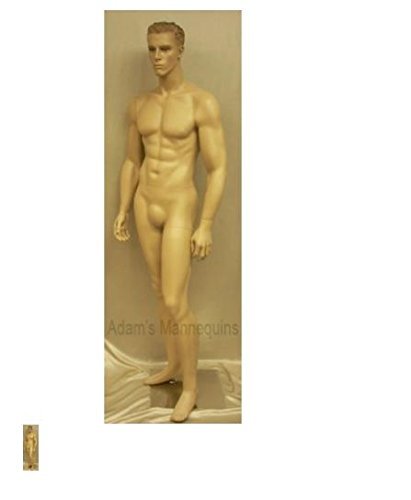 Realistic Male Mannequin - Fiberglass Medium Size, Skin Matt Finish - Fix Pose, Full Body Design, Handcrafted Detailing, Easy Dress and Undress