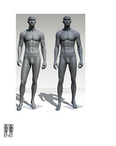 Male Realistic Mannequin MR04 - Fiberglass, Medium Size, Single Color Finish | High Quality Craftsmanship, Easily Dismantled, Solid Base with Rods
