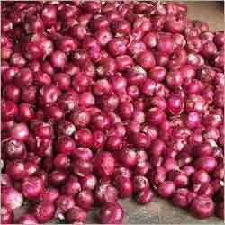 Red Onion