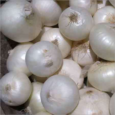 White Onion