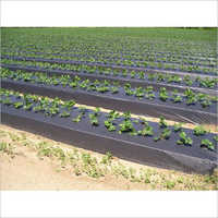 Ldpe Plastic Mulch Film