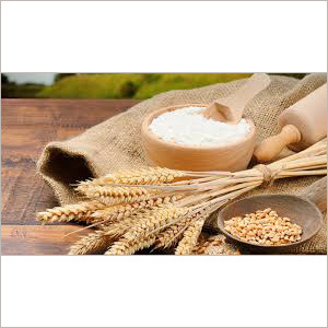 Wheat Flour