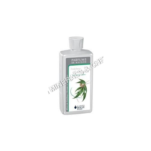 Eucalyptus Oil Fragrance