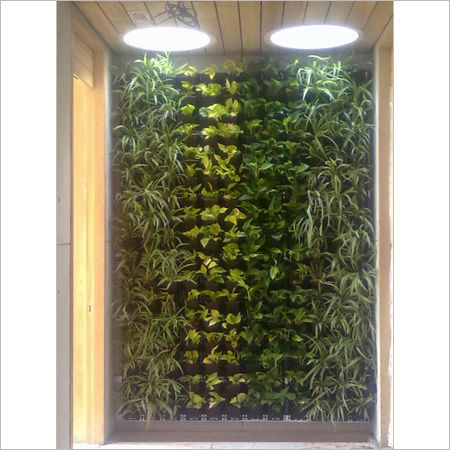 Green Walls