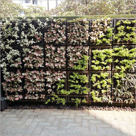 Green Wall Landscaping