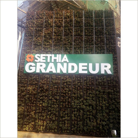 Green Wall Sethia
