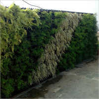 Green Wall Landscaping Work