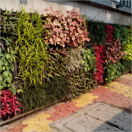Green Wall Landscaping Services