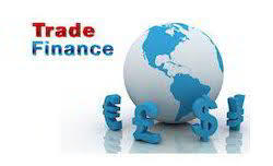 Export Import & Global Trade Consultancy