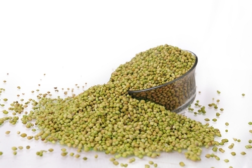 Single Parrot Coriander Seeds - 1 Kilogram, 95% Purity, 8-9% Moisture, 2% Admixture, 5ppb Ash | Grade B1, Hybrid 1, 6 Months Shelf Life, Spice Seeds