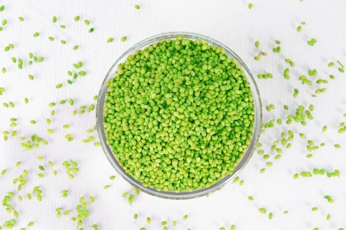 Double Parrot Coriander Seed Manufacturer - Spices Seeds | Admixture: 2%, Moisture: 8/9%, Purity: 95%, Weight: 40kg, Evergreen Color, Grade: A1, Hybrid: 1, Shelf Life: 6 Days