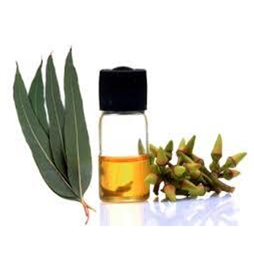 Eucalyptus Oil