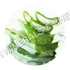 Aloevera Cucumber Water Soluble Fragrance