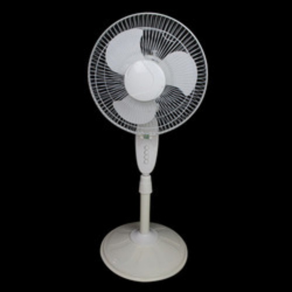 BLDC Pedestal Fan