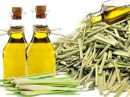 Lemon Grass Oil