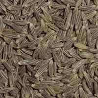 Cumin Seeds