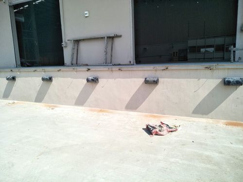 Rubber Dock Bumpers / Dock Fenders