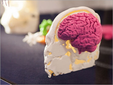 Education 3D Printing