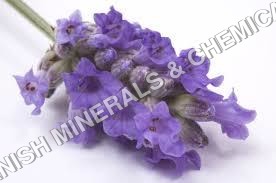 Fabulous Lavender Water Soluble Fragrance