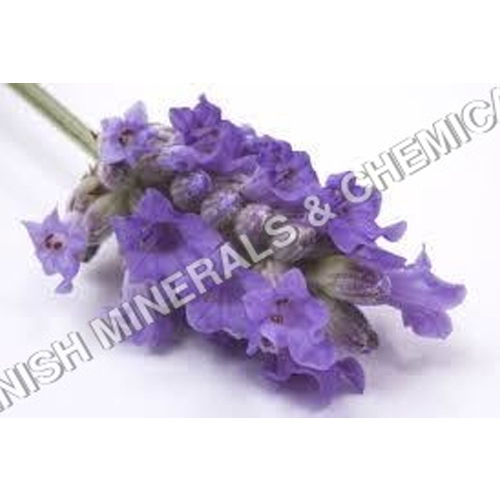 Fabulous Lavender Water Soluble Fragrance